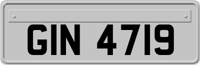 GIN4719