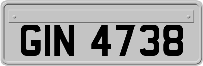 GIN4738