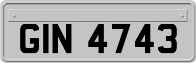 GIN4743