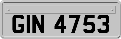 GIN4753