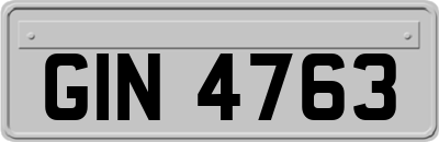 GIN4763