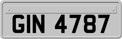 GIN4787