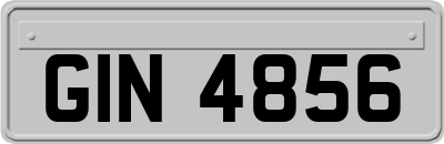 GIN4856