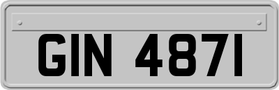 GIN4871