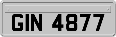 GIN4877