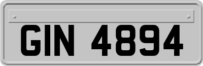 GIN4894