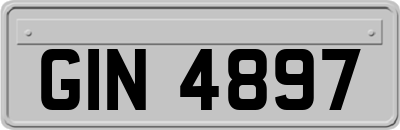 GIN4897