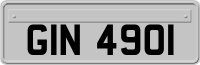 GIN4901