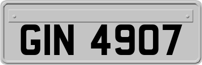 GIN4907