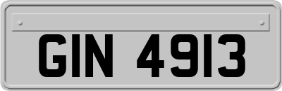 GIN4913