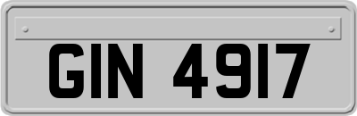 GIN4917