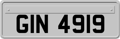 GIN4919
