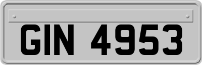 GIN4953