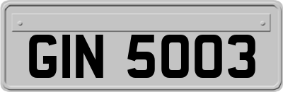 GIN5003