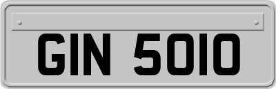 GIN5010