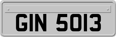 GIN5013