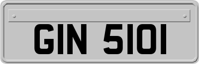 GIN5101