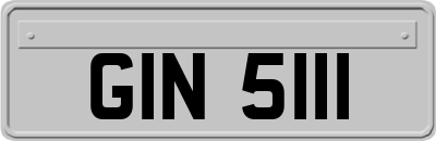 GIN5111