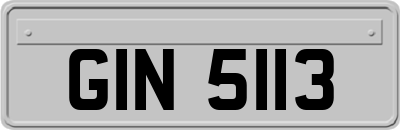 GIN5113