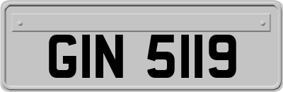 GIN5119