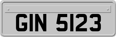 GIN5123