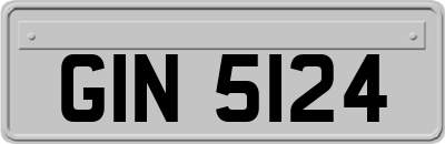 GIN5124