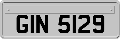 GIN5129