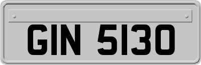 GIN5130
