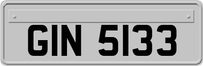 GIN5133