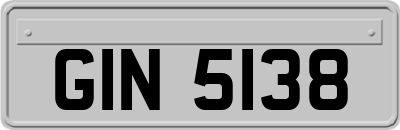 GIN5138