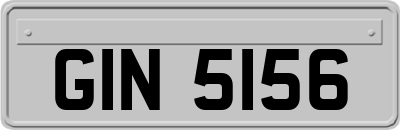 GIN5156