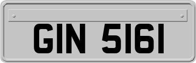 GIN5161
