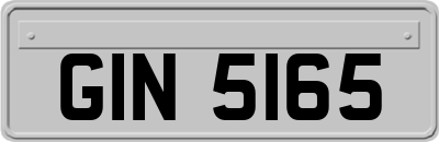 GIN5165