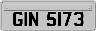 GIN5173