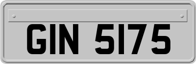 GIN5175