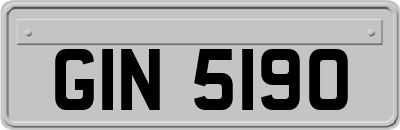 GIN5190