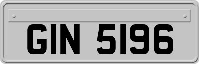 GIN5196