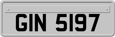 GIN5197