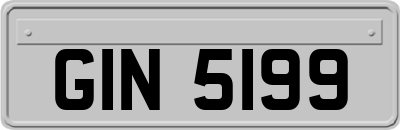 GIN5199