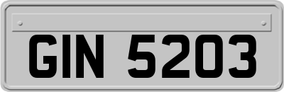 GIN5203