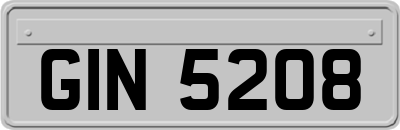 GIN5208