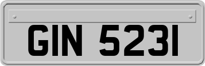 GIN5231