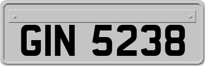 GIN5238