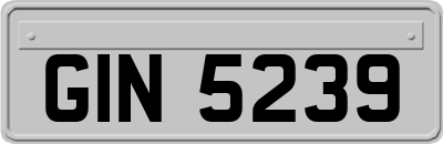 GIN5239