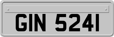 GIN5241