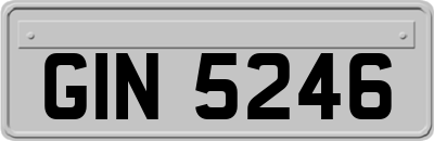 GIN5246