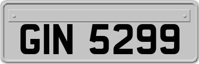 GIN5299