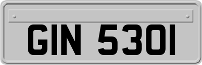 GIN5301