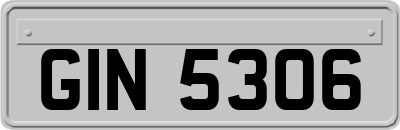 GIN5306