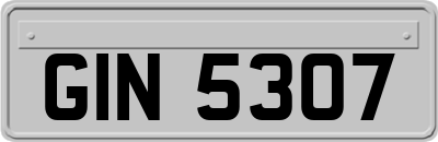 GIN5307